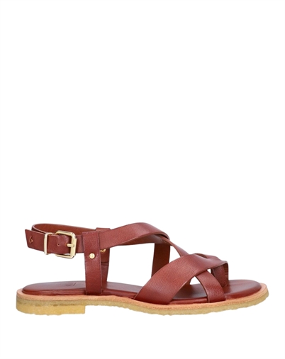 Billi Bi - T8012 Sandal - T.Moro